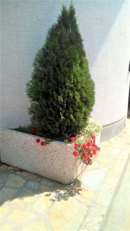 Hotel Tehnograd Kraljevo Zewnętrze zdjęcie
